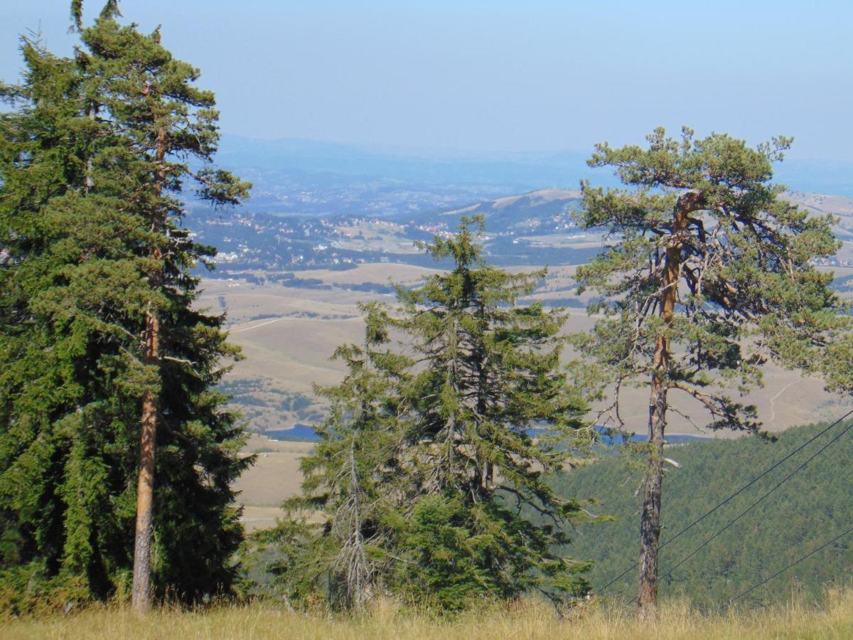 S33 Pekovic * Zlatibor