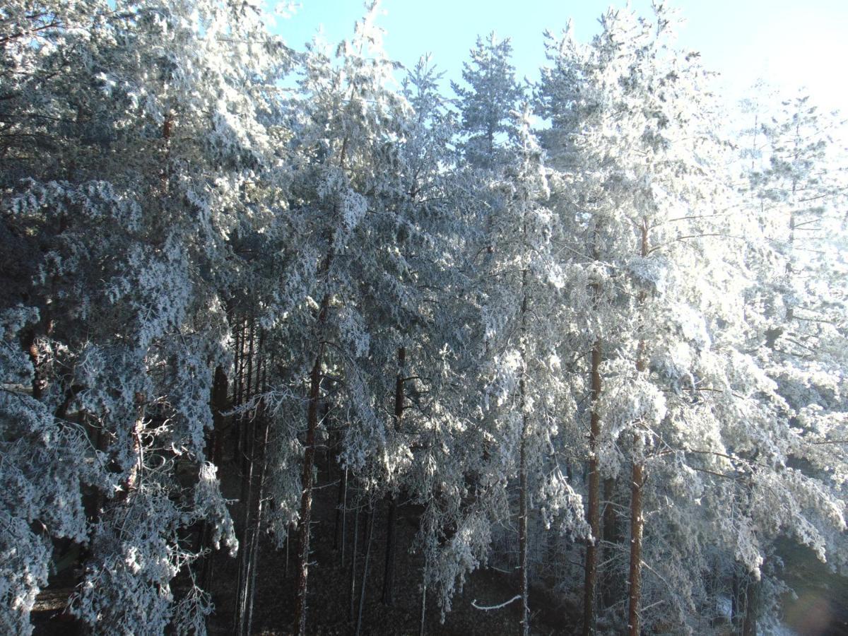 S33 Pekovic * Zlatibor