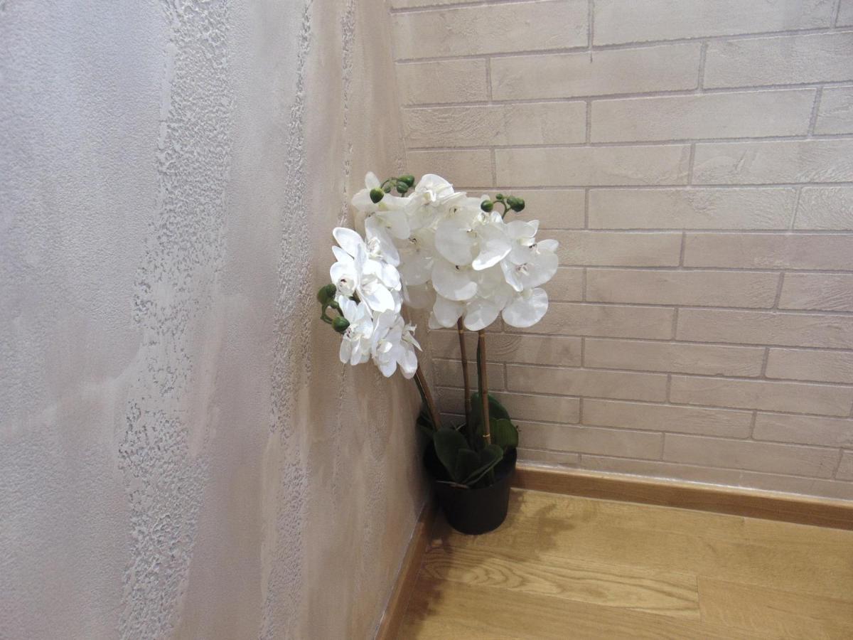 Apartament S33 Pekovic *