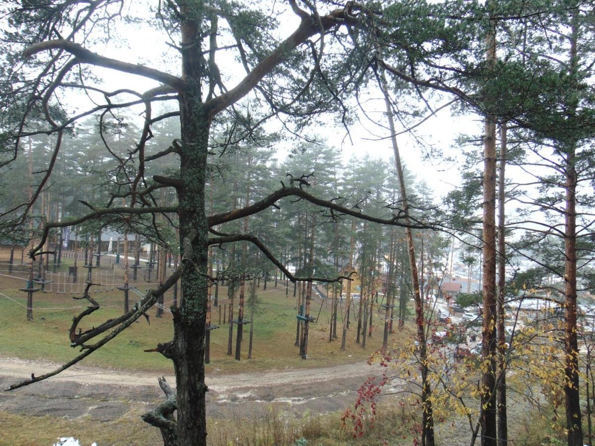 S33 Pekovic Daire Zlatibor