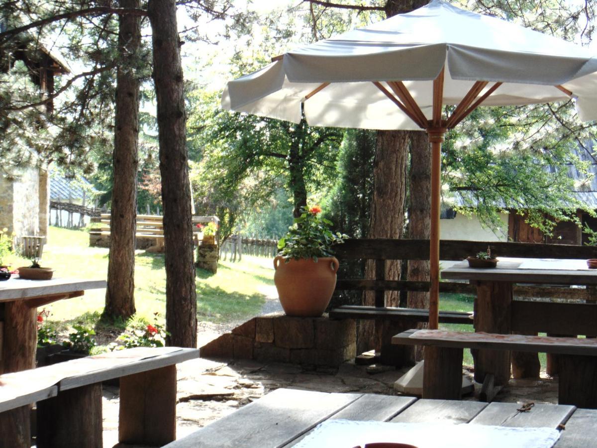 S33 Pekovic Daire Zlatibor