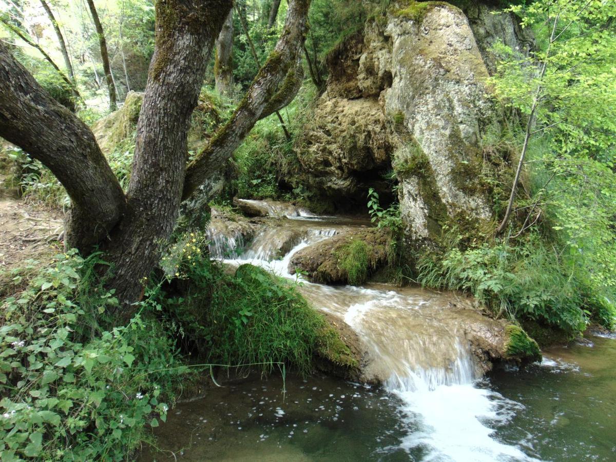 S33 Pekovic Daire Zlatibor