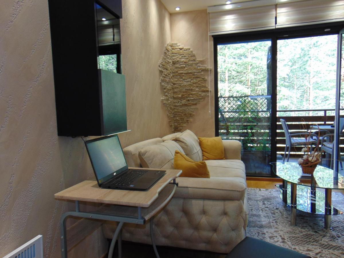 Apartament S33 Pekovic Zlatibor