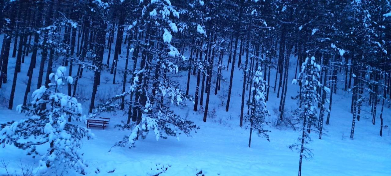 S33 Pekovic Zlatibor